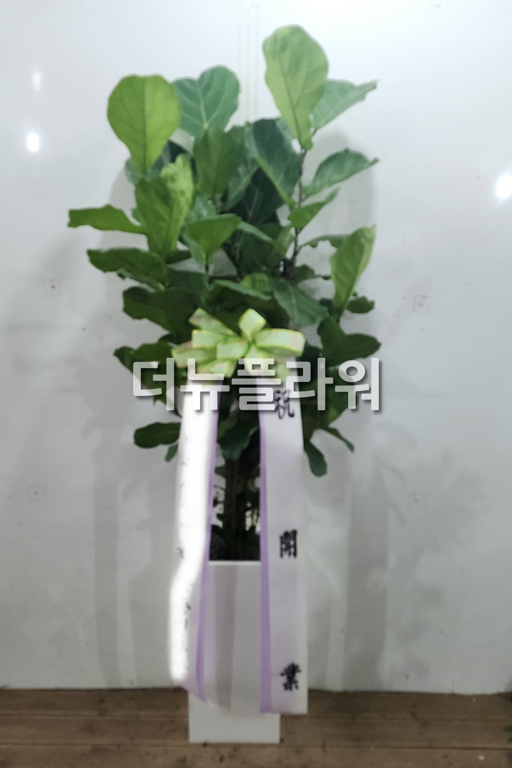 배송 완료 사진 1