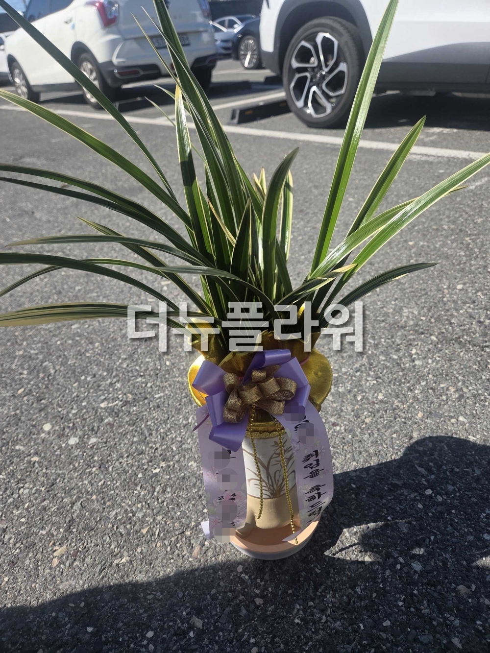 배송 완료 사진 12