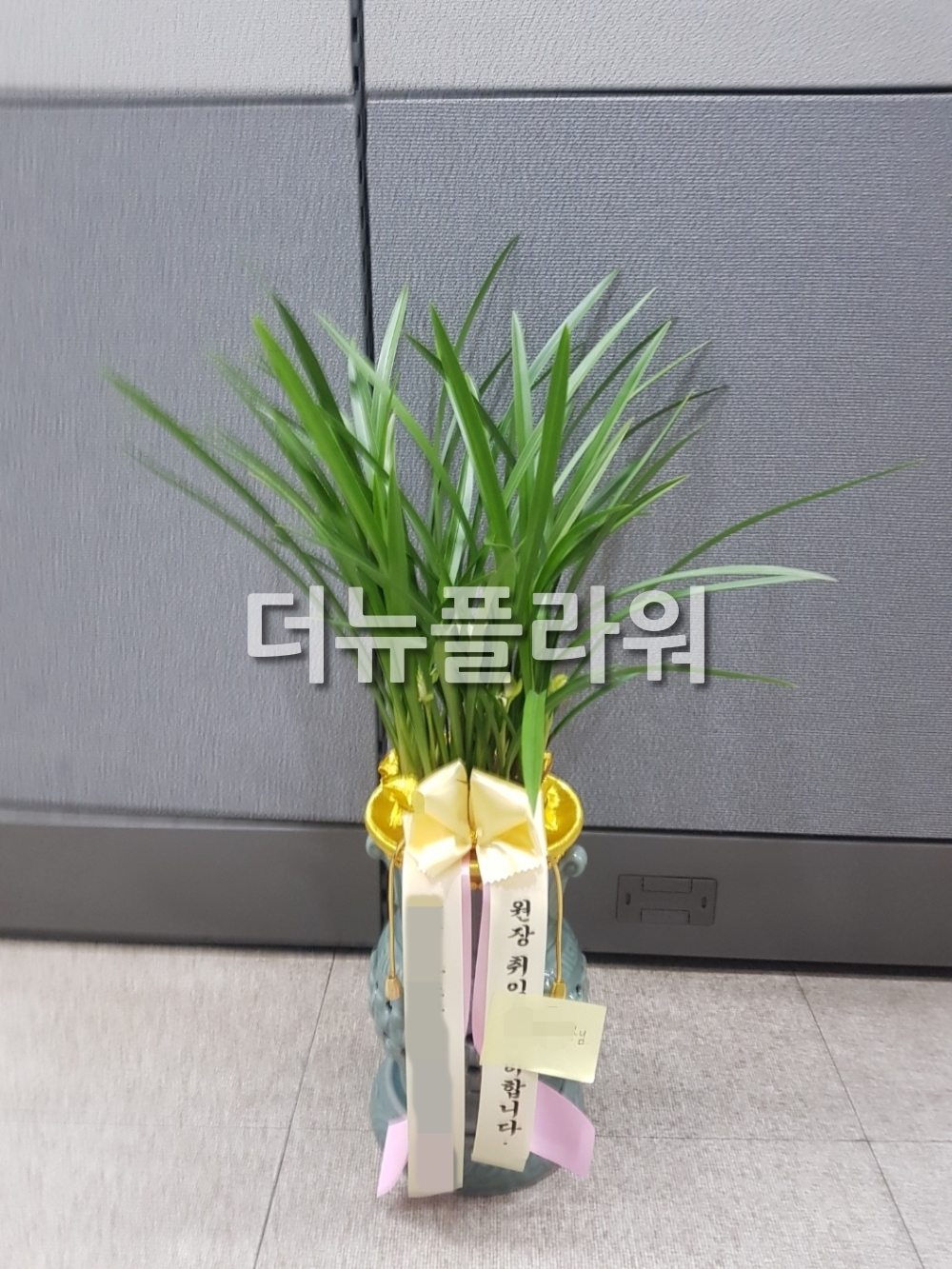 배송 완료 사진 14