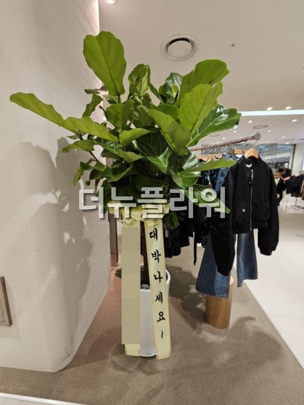 배송 완료 사진 16