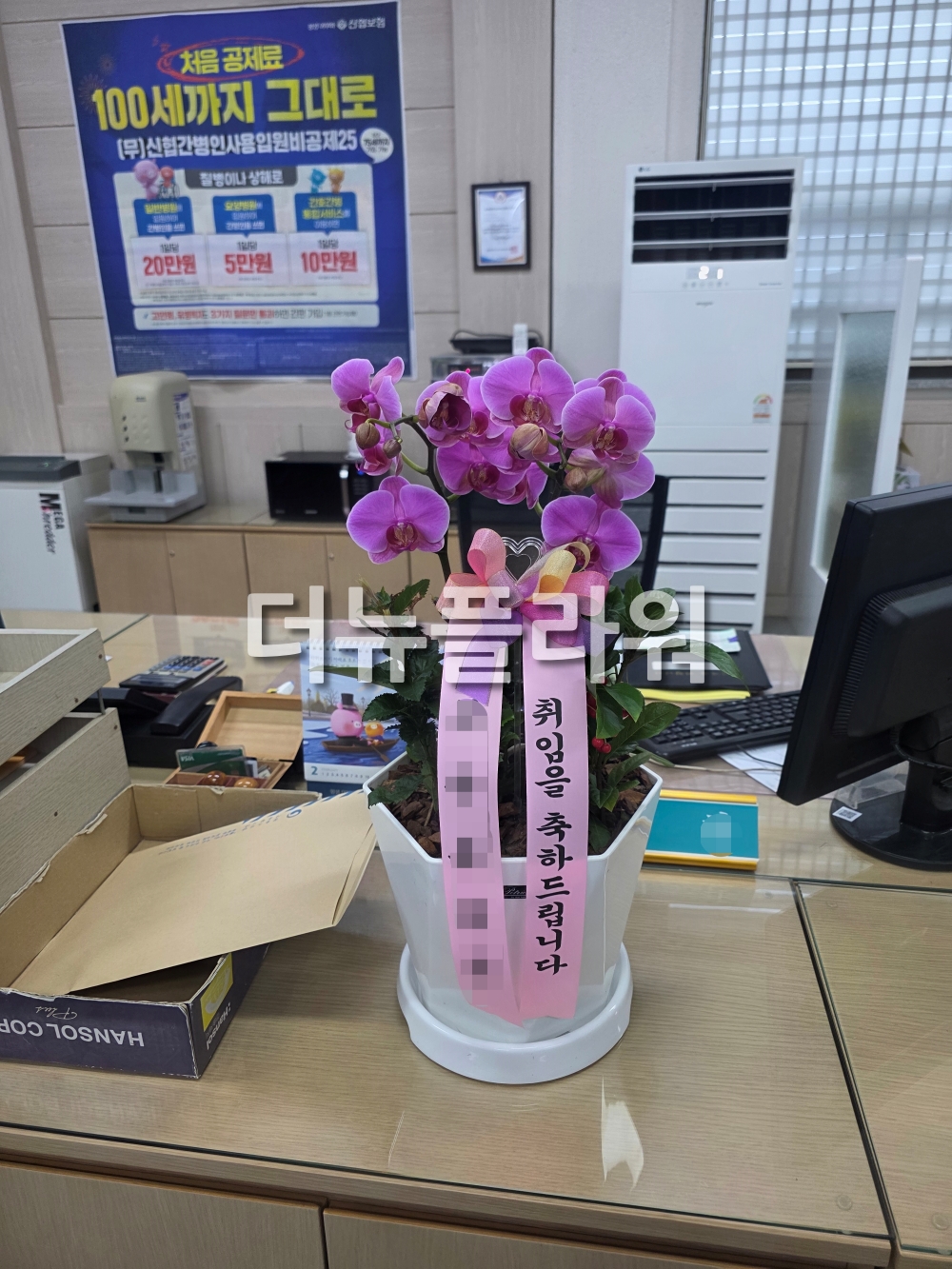 배송 완료 사진 19