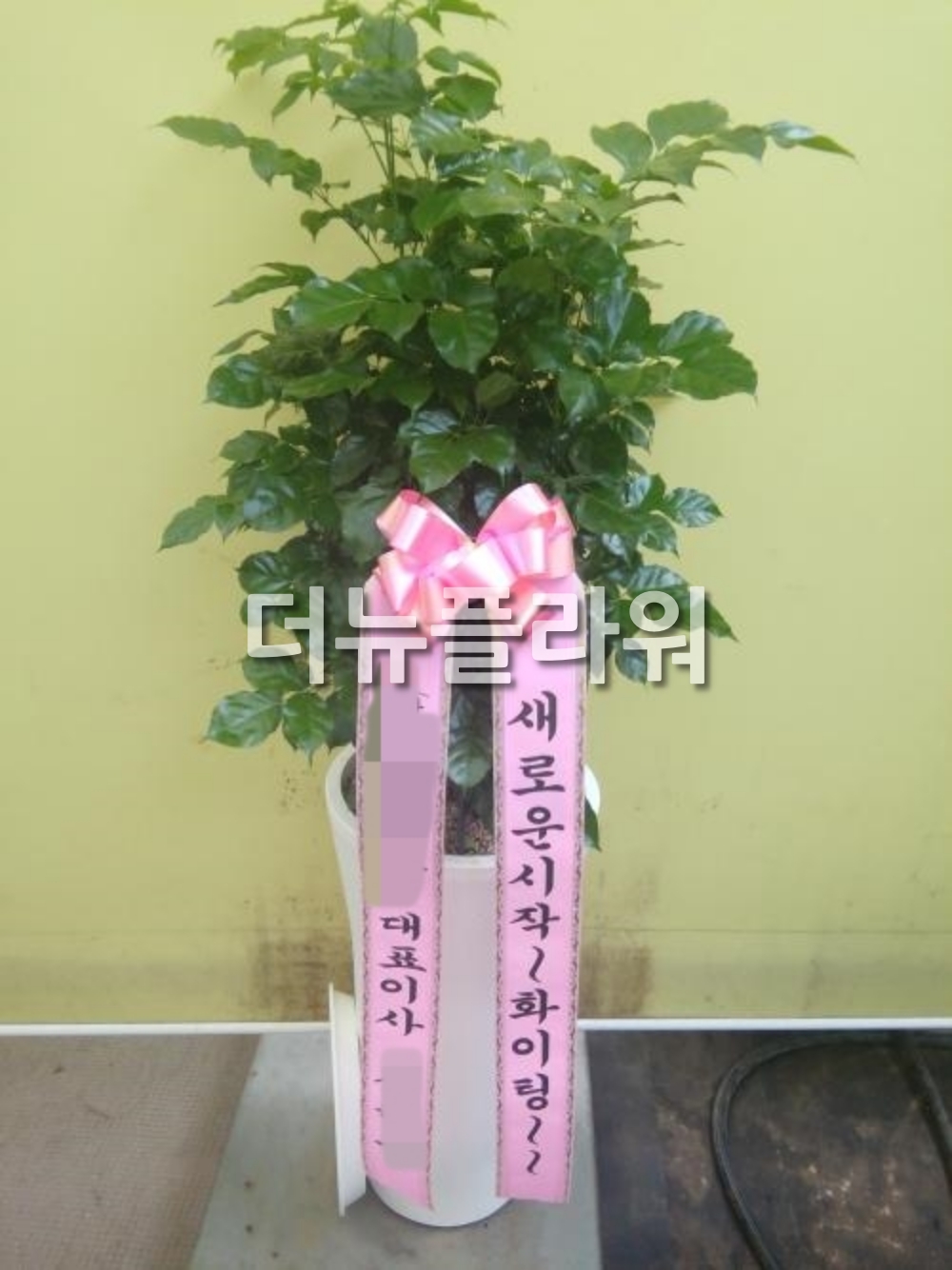 배송 완료 사진 4