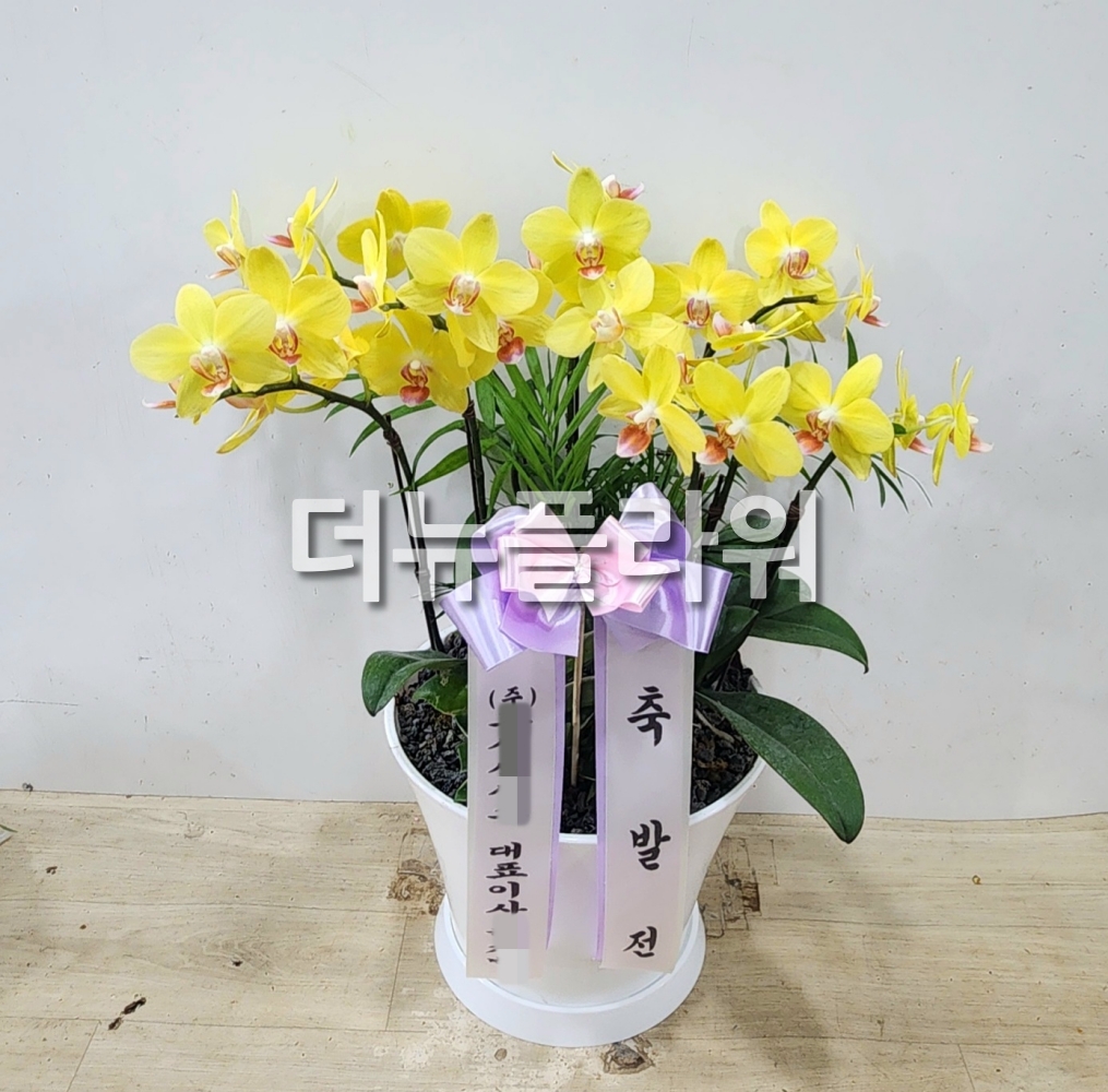 배송 완료 사진 6