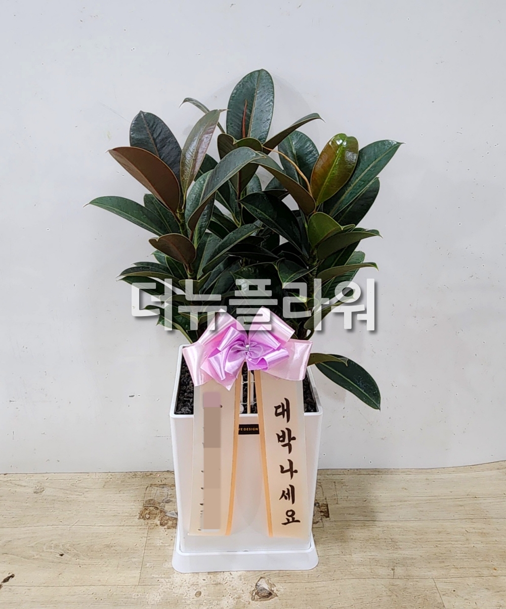 배송 완료 사진 10